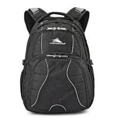 High Sierra Swerve Backpack