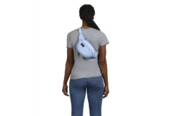 JanSport Fifth Avenue Fanny Pack -Selected Fashion Luggage Stores 7cc935 b3b28382932b45669315e487dd0cd7e7mv2
