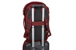Thule Subterra Travel Backpack 34L -Selected Fashion Luggage Stores 7cc935 e1d2b7ea937b4bada05f996c45977df1mv2 3