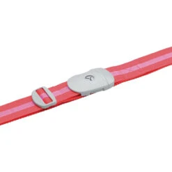 Design Go Key Strap -Selected Fashion Luggage Stores 7cc935 f8a904336c26468faff1528af01ab8eamv2